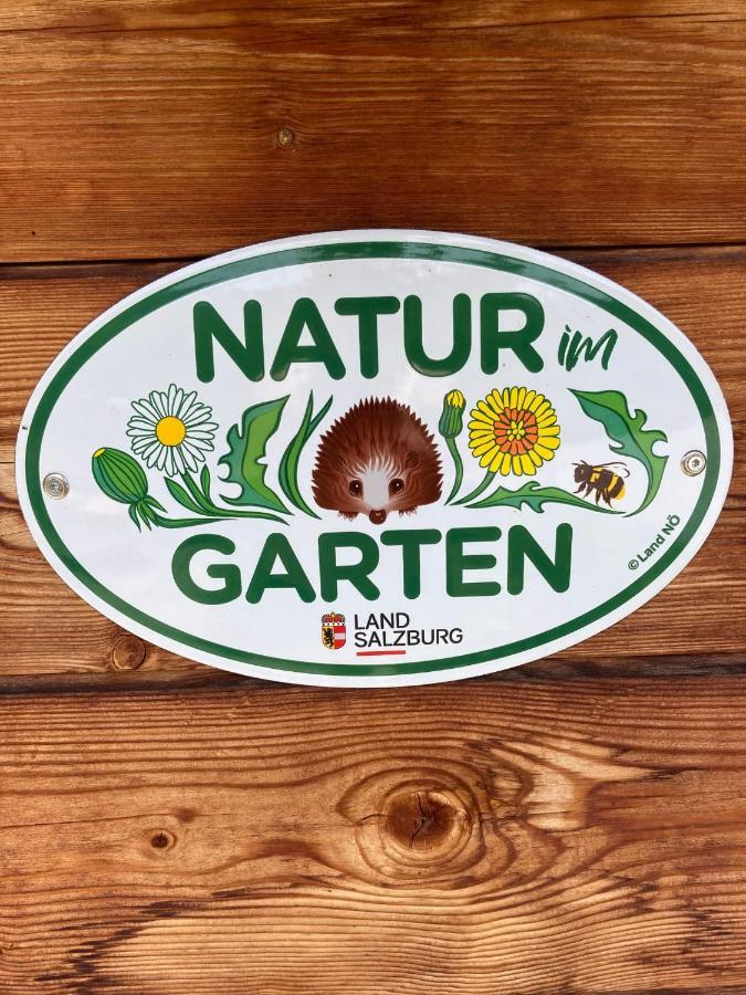 Zur Lieben Sonne Leilighet Filzmoos Eksteriør bilde
