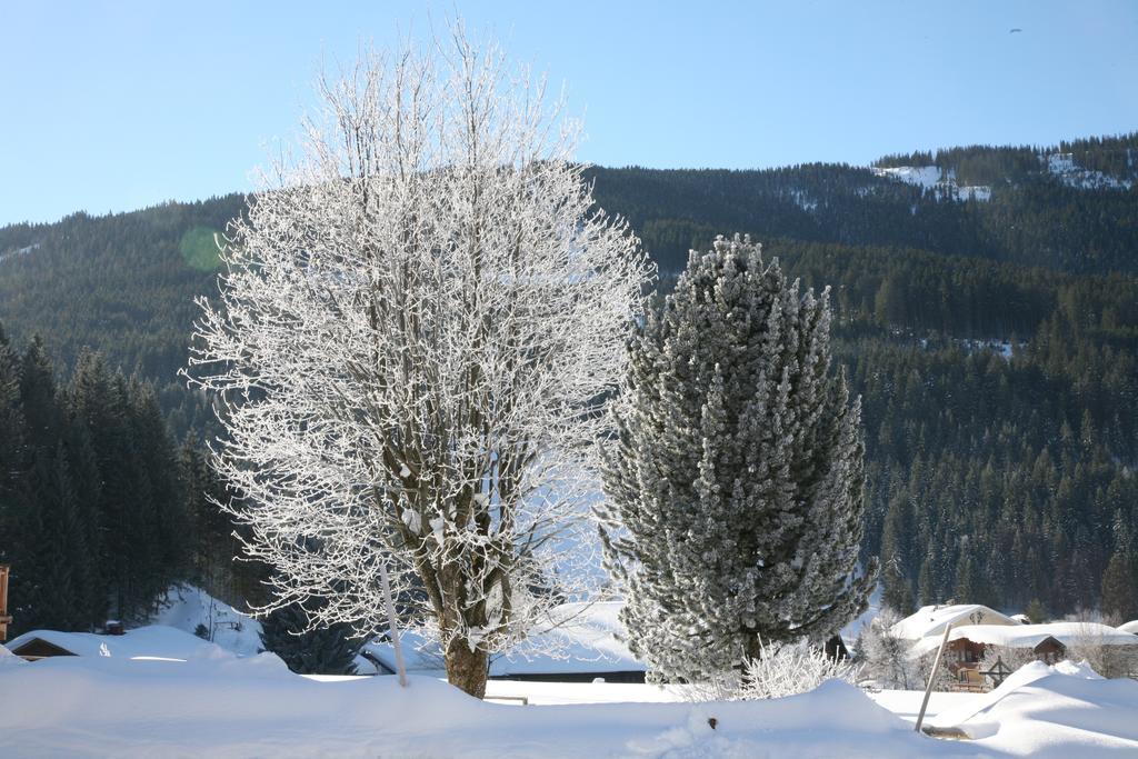 Zur Lieben Sonne Leilighet Filzmoos Rom bilde