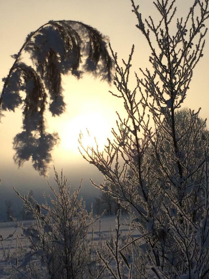 Zur Lieben Sonne Leilighet Filzmoos Eksteriør bilde